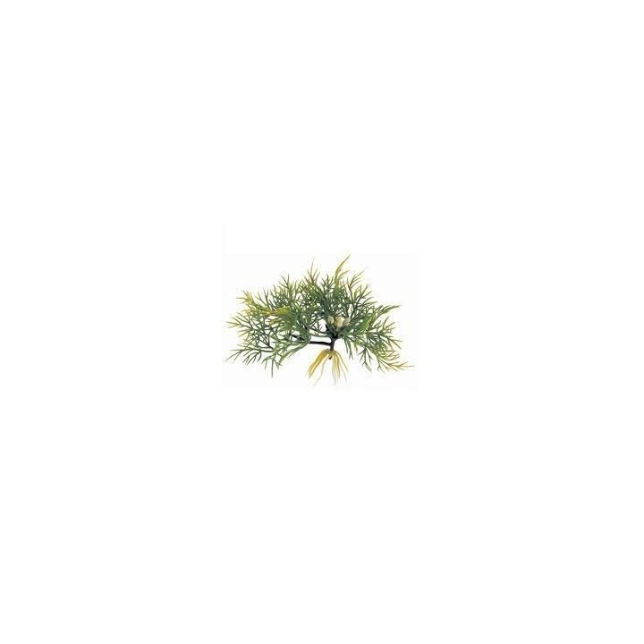 plante flottantefanwort de exo-terra pt3064 (2469)