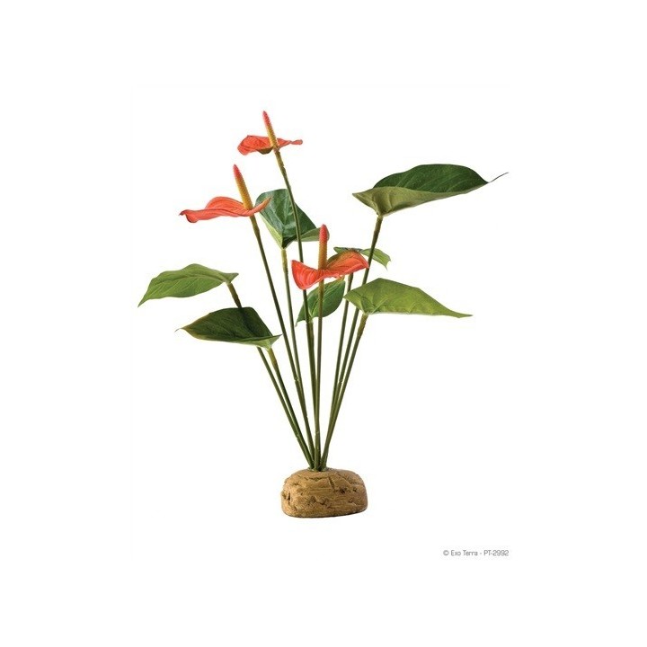 anthurium bush de exo-terra pt2992 (2466)
