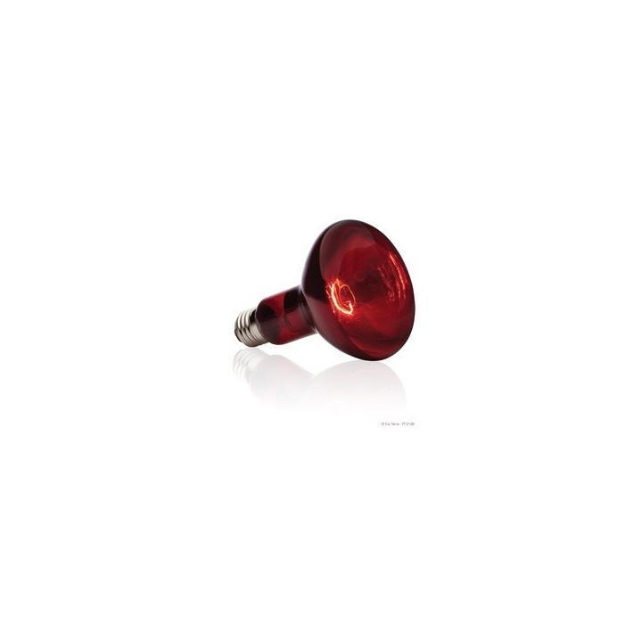 ampoule chauffante infrarouge basking spot 150w de exo-terra pt2146 (3543),ampoule chauffante infrarouge basking spot 150w de ex