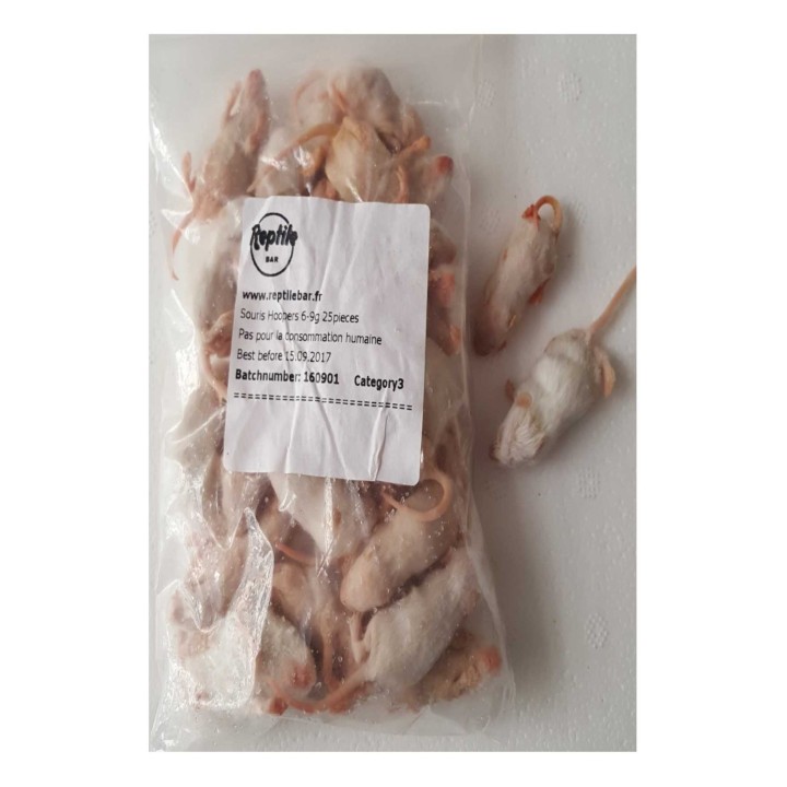 Souris Blanchon 5-6g congelé pour reptiles - VentreaTerre