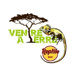 Logo VAT